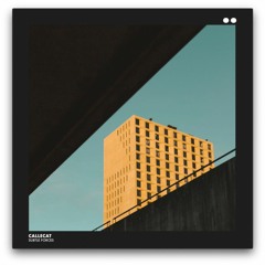 Callecat - Pakitara [Concrete Kin]