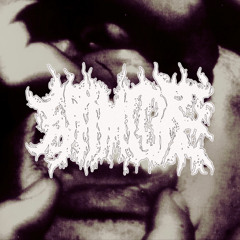 grimcore x Kwaxo x freedre - nuts [tenshinxgod]