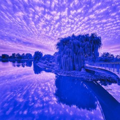 Nightswept