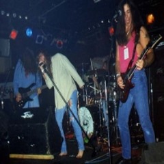 Society's Falling Down