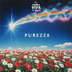 Journey into Light [Natura Viva]