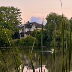 Why Should I? Demo by the pond