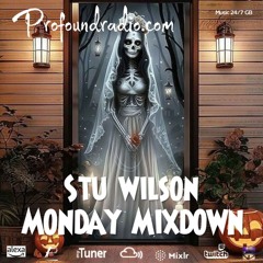 #230 Profound Radio Progressive House @djstuwilson