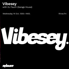 Vibesey with DJ Fauch (Garage House) - 14 October 2020