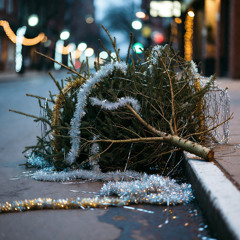 When the Lights Come Down