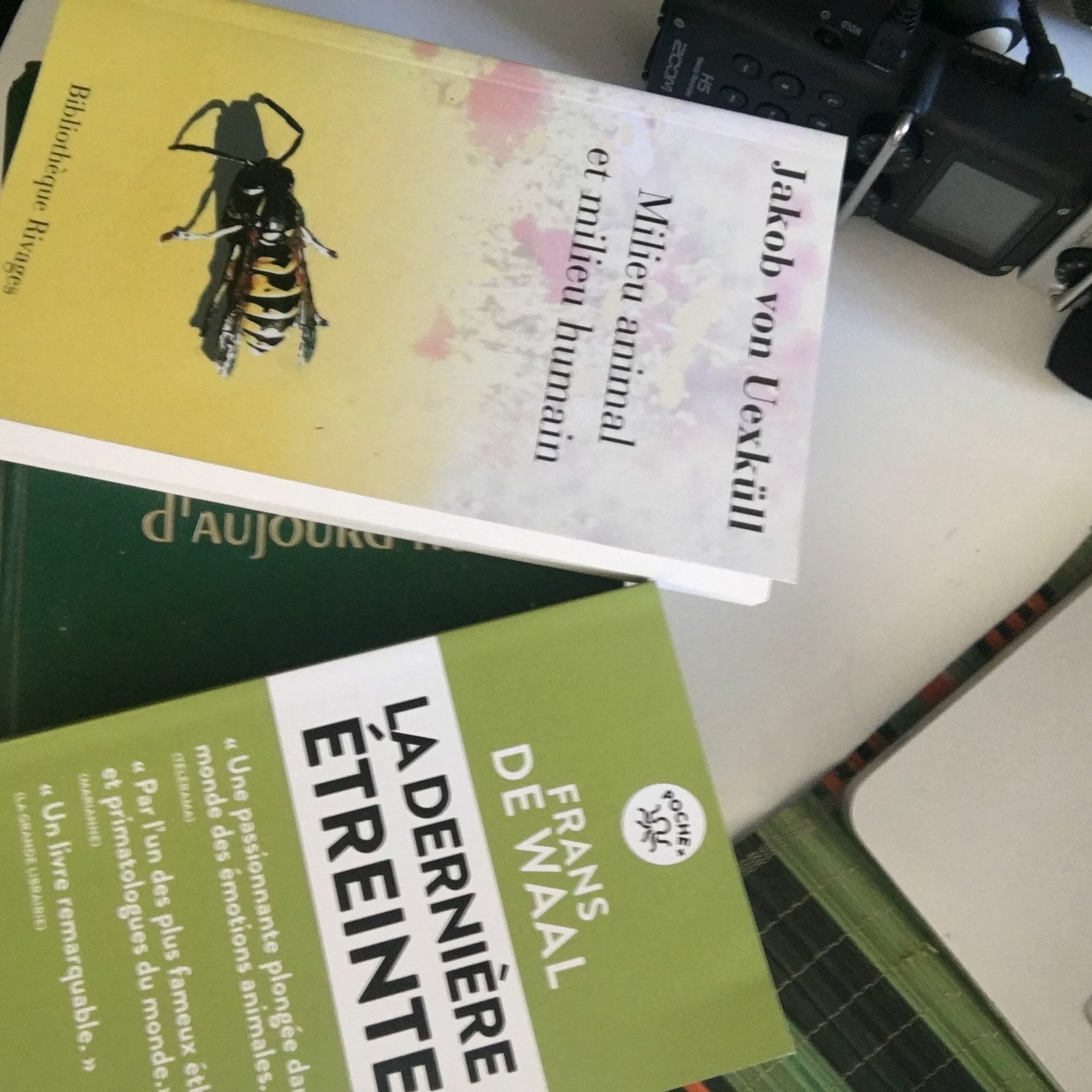 MARQUE PAGE ≠6 Animal