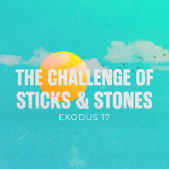 The Challenge of Sticks & Stones