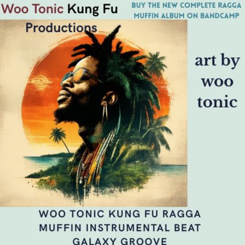 Woo Tonic Kung Fu Ragga Muffin Instrumental Beat Galaxy Groove