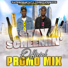 STAY SCHEEMIN' OFFICIAL PROMO MIX (DJT1 & YOUNG PLATNUM HYPE BDAY BASH) 13/05/2022