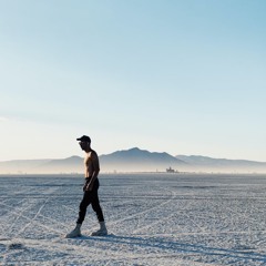 Shaman * Should Be Fine * Live @ Burning Man