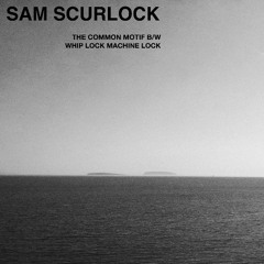 Whip Lock Machine Lock