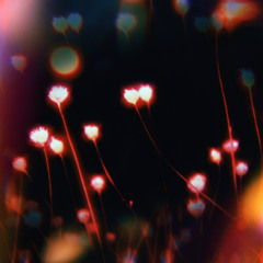 Sparks