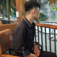 NST-✈️Viet Mix-vol mới✈️✈️_Quý-Anh.mp3