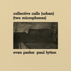 "Cat's Flux" from ROKURE007 - Collective Calls (Urban) (Two Microphones)