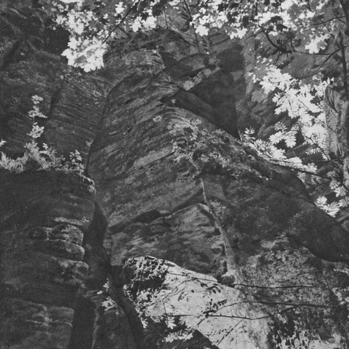 MNMT Premiere: Evitceles & Fortunes Brine – Fallow