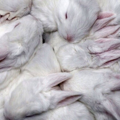 One way (ProdByoverscoring)