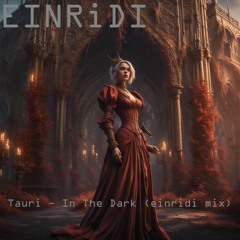 Tauri - In The Dark (EINRiDI Mix & Master)
