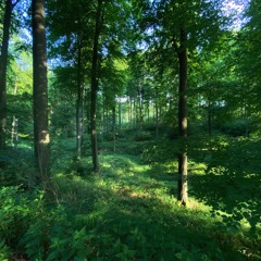 2010.10.5llrec8.57.56