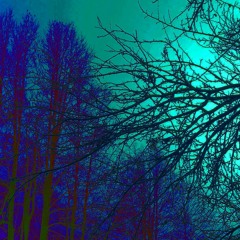 NO MAN'S LAND - December 23 + December 30 - Radio Mix 2021
