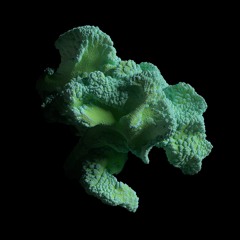 IV OFFSonar - Kevin Di Serna - Plexuria