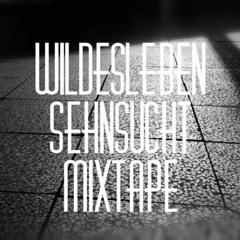 WildesLeben#Sehnsucht#mixSet#2022 (hearthis.at)