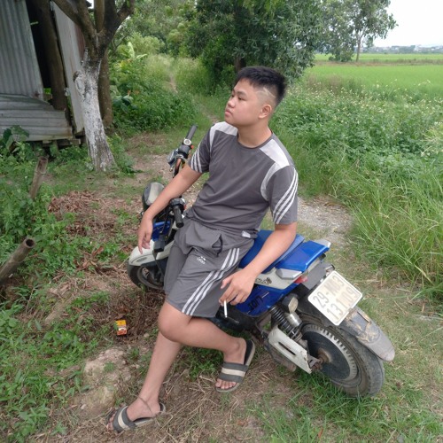 YÊU MỘT NGƯỜI VÔ TÂM - Thái Hoàng