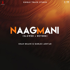 Naagmani (feat. Gurlez Akhtar)
