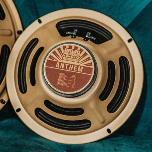 ANTHEM 10" 35W