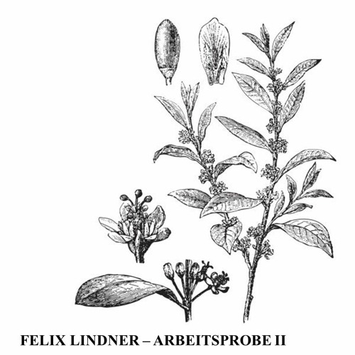 Felix Lindner - Arbeitsprobe II