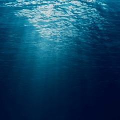 Siren's Cove (Eerie ambience + Percussion + Vocal + Sound design)