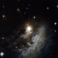 Stars