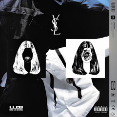 DREWBREESH - YSL [FEARDORIAN] #LLDB