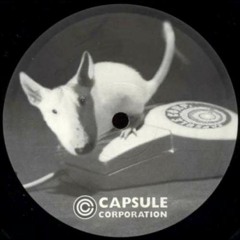 Capsule Corporation (B2)