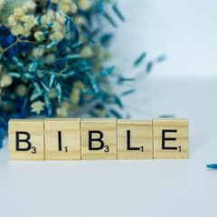 Why Should I Read the Bible