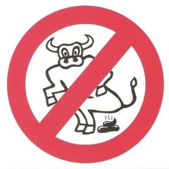 No Bullshit Vinyl Studio Mix Part 01