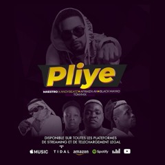 PLIYE_(_MAESTRO_X_BLACK_MAYKO_X_AFRIKEN_X_ANDYBEATZ_X_TONYMIX)(256k)