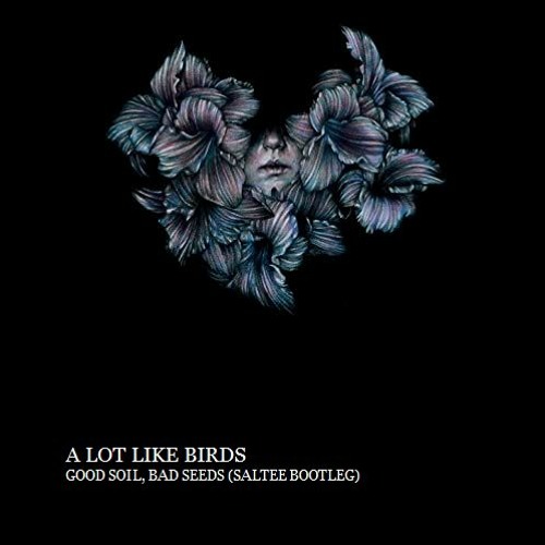 A Lot Like Birds - Good Soil, Bad Seeds (Saltee Bootleg)