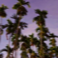 Island Irie - Virian Kanai
