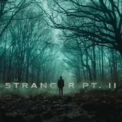 Stranger Pt. II - SilentCrafter | Free Background Music | Audio Library Release