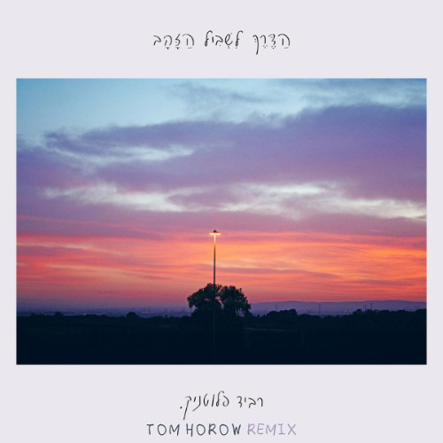 רביד פלוטניק - בוקר טוב חיים שלי (Tom Horow Remix)