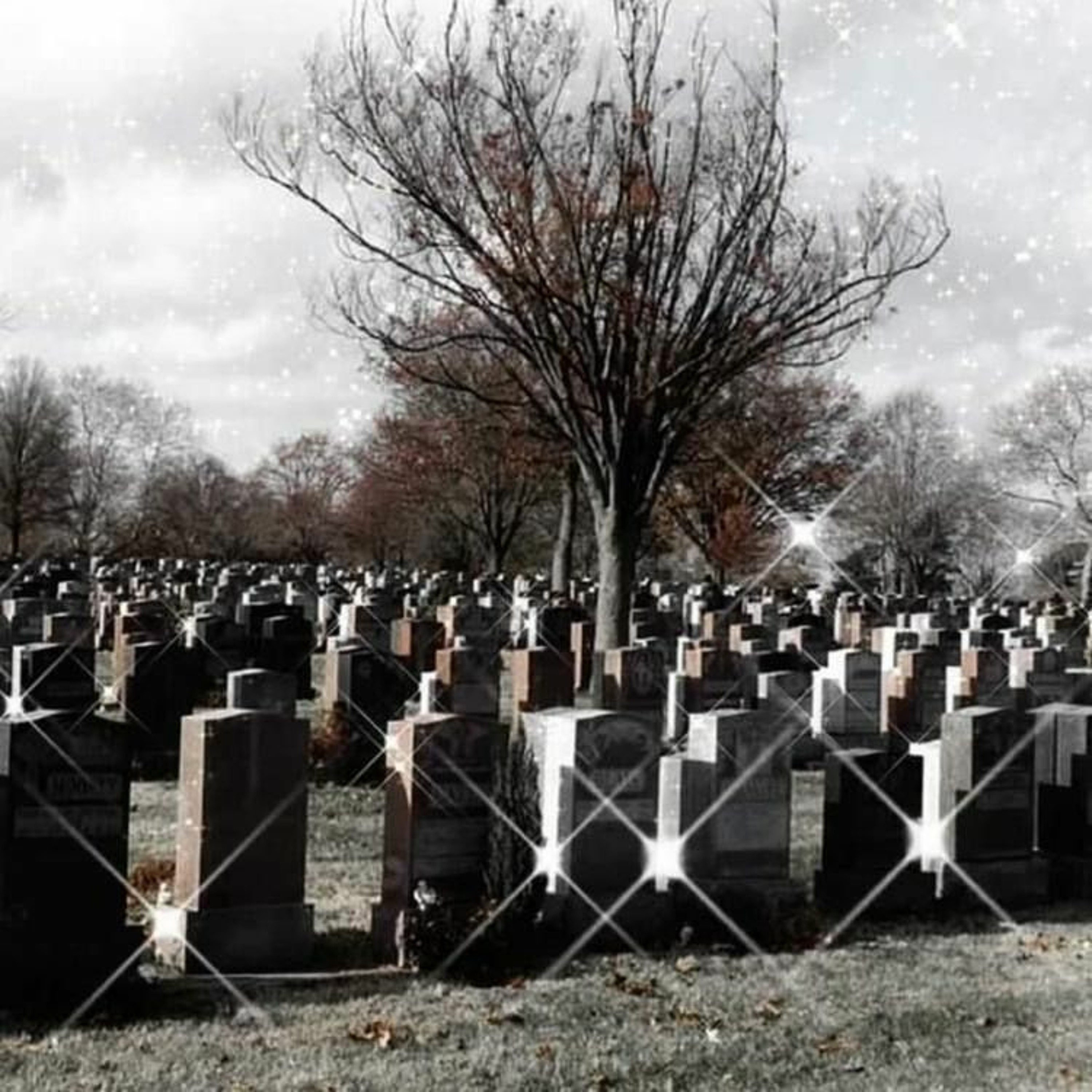 Yung Gaze & Lavy Angel - Grave Error (Prod. nownotlater) episode artwork