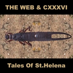 THE WEB & CXXXVI - Tales Of St.Helena