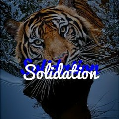 Solidation (Prod.CEDES)