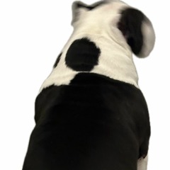 digging into trip 61 deep hiphop