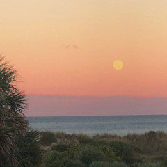 ykwim? : diego rierad