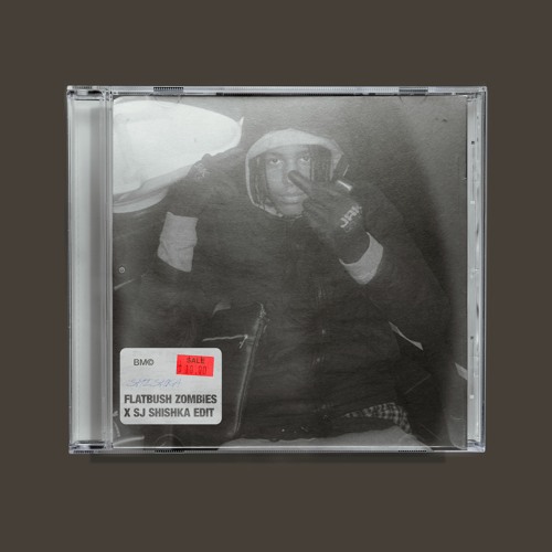 FLATBUSH ZOMBiES X SJ (SHISHKA EDIT) [FREE DL]
