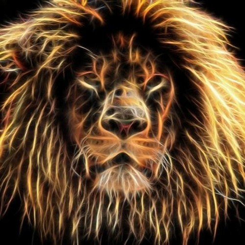 CRAIG SHAW - LIONS GATE - SUNRISE ACTIVATION MIX