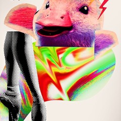 DISCO GO