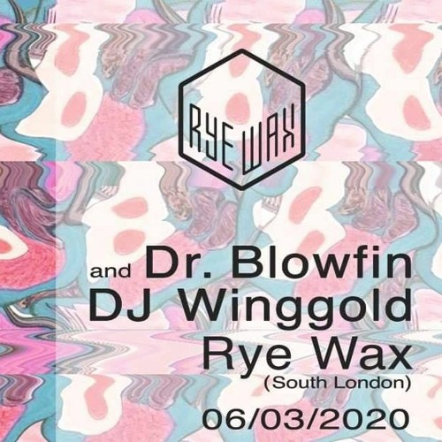 Dr. Blowfin Live @ Rye Wax