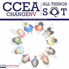 SB282: New changes to the SOT law w/ Senator Nguyen